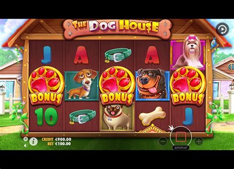 casino dog h.odds -on demand|The Dog House Online .